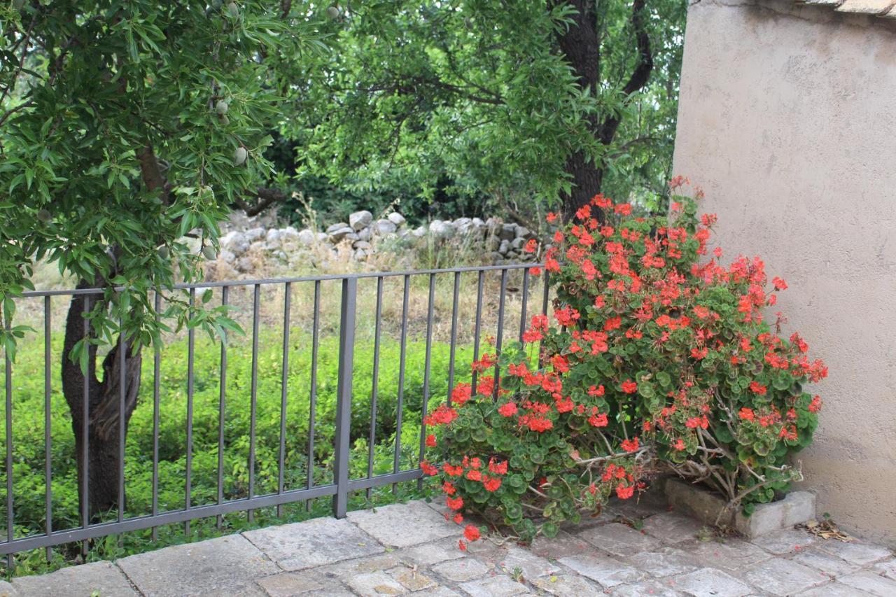 Agriturismo Tenuta Margitello 코미소 외부 사진